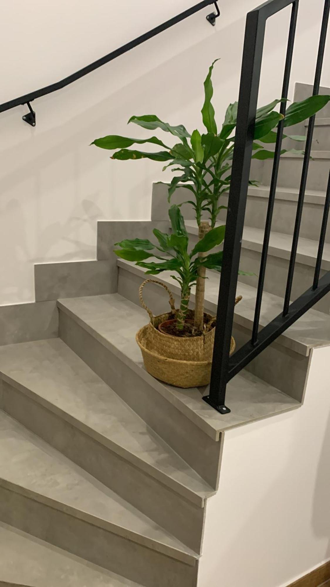 Apartamentos Lux Carrion Carrion De Los Condes Εξωτερικό φωτογραφία